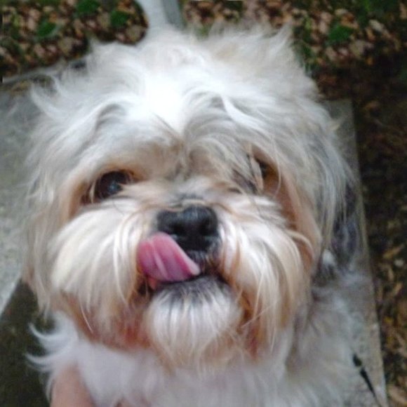 Meet your Posher, June - Picture 1 of 1